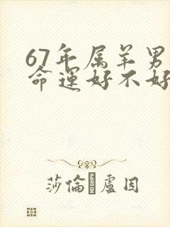 67年属羊男的命运好不好