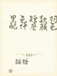 黑色短款羽绒服配什么颜色内搭