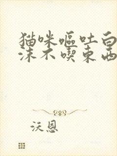 猫咪呕吐白色泡沫不吃东西精神不好