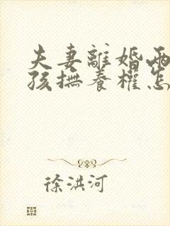 夫妻离婚两个小孩抚养权怎么判定