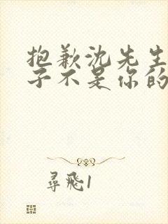 抱歉沈先生,孩子不是你的完结了吗