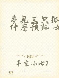 梦见三只狐狸是什么预兆 女性解梦