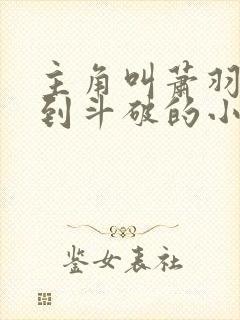 主角叫萧羽穿越到斗破的小说