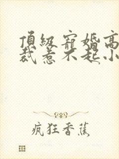 顶级宠婚高冷总裁惹不起小说免费