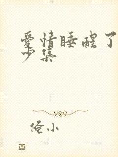 爱情睡醒了有多少集