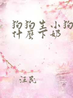 狗狗生小狗了吃什么下奶