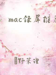 mac录屏推荐