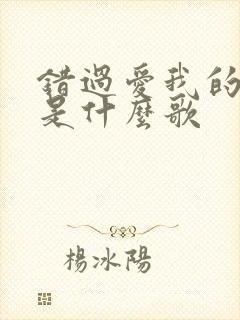 错过爱我的人啊是什么歌