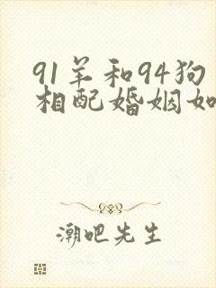 91羊和94狗相配婚姻如何