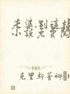 老婆,别这样 小说免费阅读