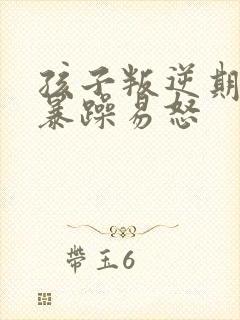 孩子叛逆期脾气暴躁易怒