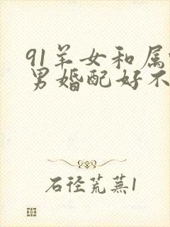 91羊女和属蛇男婚配好不好
