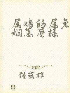 属鸡的属兔的婚姻怎么样