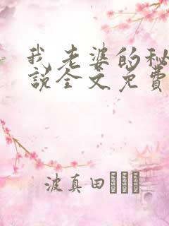 我老婆的秘密小说全文免费阅读