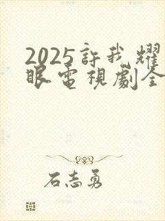 2025许我耀眼电视剧全集免费观看