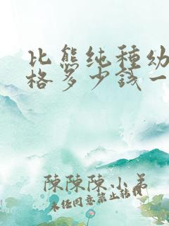 比熊纯种幼犬价格多少钱一只