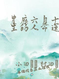 农历六月十七出生的人命运