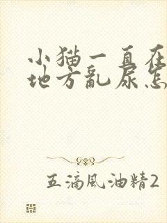 小猫一直在一个地方乱尿怎么办