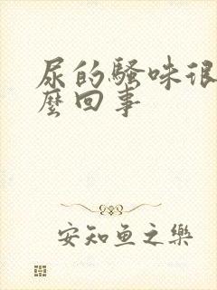 尿的骚味很重怎么回事