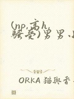 (np,高h,骚受)男男小说