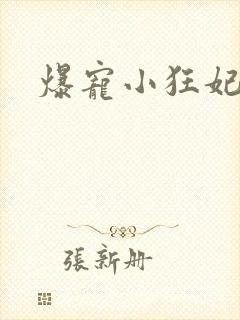 爆宠小狂妃