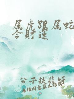 属虎跟属蛇合不合财运