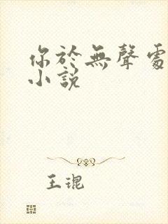 你于无声处遗忘小说