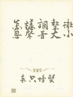 怎样调整微信信息声音大小