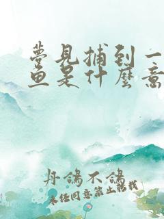 梦见捕到一条大鱼是什么意思