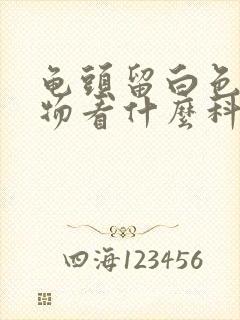 龟头留白色脓状物看什么科