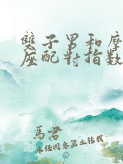 双子男和摩羯女座配对指数