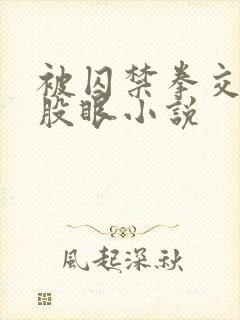 被囚禁拳交虐屁股眼小说