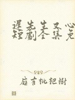 迟先生又心动了短剧全集免费播放剧