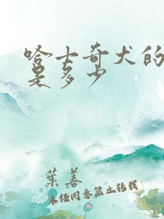 哈士奇犬的价格是多少