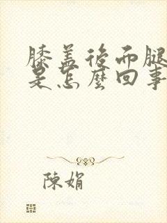 膝盖后面腿弯疼是怎么回事