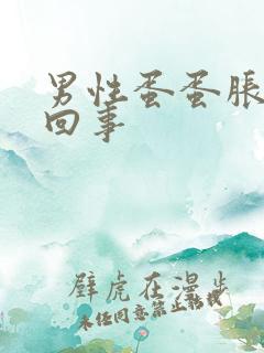 男性蛋蛋胀疼咋回事