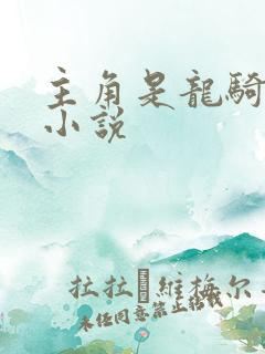 主角是龙骑士的小说