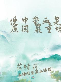 便中带血是什么原因 严重吗