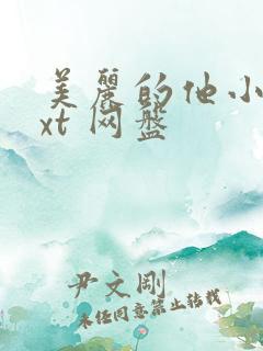 美丽的他小说txt 网盘