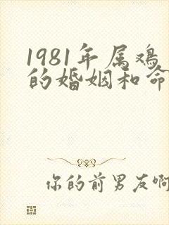 1981年属鸡的婚姻和命运