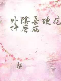 外阴长硬疙瘩是什么病