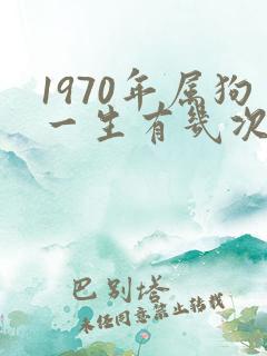 1970年属狗一生有几次婚姻