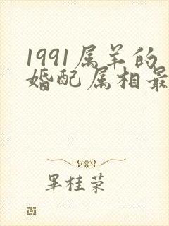 1991属羊的婚配属相最好