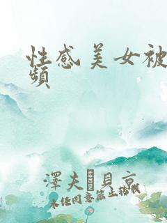 性感美女被奸视频