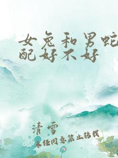 女兔和男蛇的婚配好不好