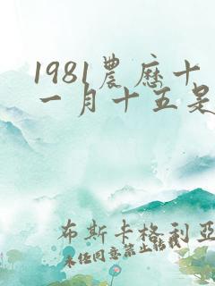 1981农历十一月十五是什么星座