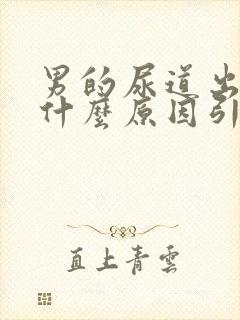 男的尿道出血是什么原因引起的