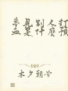 梦见别人打架见血是什么预兆解梦