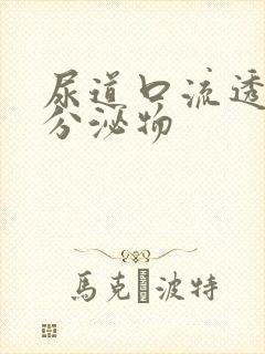 尿道口流透明的分泌物