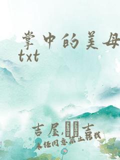 掌中的美母版主txt